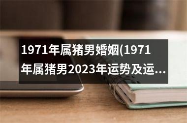 1971年属猪男婚姻(1971年属猪男2025年运势及运程每月运程)