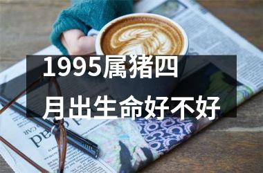 1995属猪四月出生命好不好