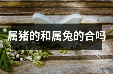 属猪的和属兔的合吗