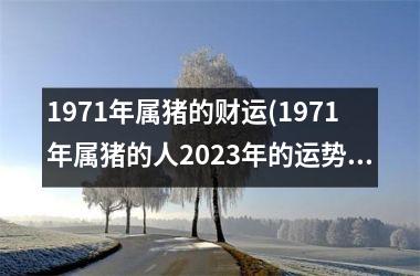 1971年属猪的财运(1971年属猪的人2025年的运势及运程)