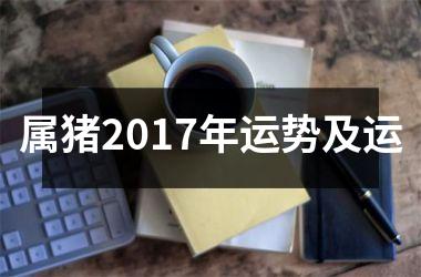 属猪2017年运势及运