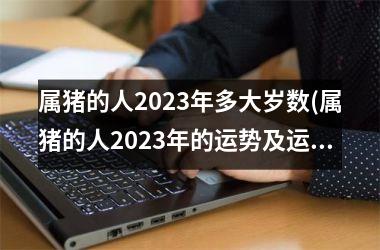 属猪的人2023年多大岁数(属猪的人2023年的运势及运程详解)