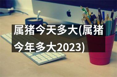 属猪今天多大(属猪今年多大2025)