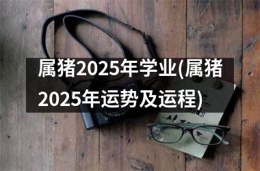 属猪2025年学业(属猪2025年运势及运程)