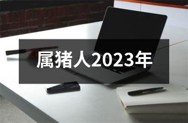 属猪人2023年