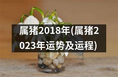 属猪2018年(属猪2025年运势及运程)