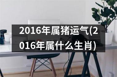 2016年属猪运气(2016年属什么生肖)
