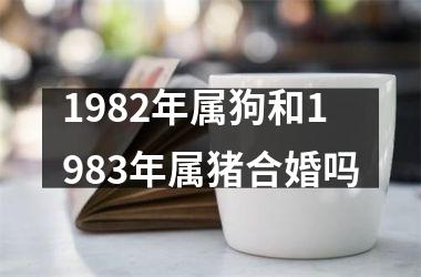1982年属狗和1983年属猪合婚吗