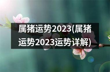 属猪运势2023(属猪运势2023运势详解)