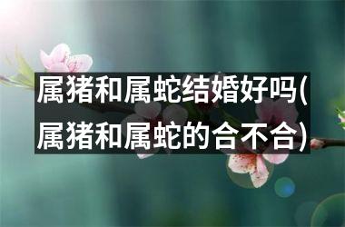 属猪和属蛇结婚好吗(属猪和属蛇的合不合)