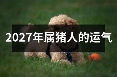 <h3>2027年属猪人的运气