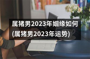 属猪男2023年姻缘如何(属猪男2023年运势)