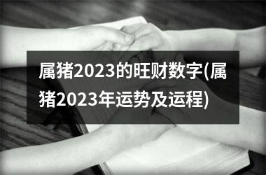 属猪2023的旺财数字(属猪2023年运势及运程)