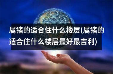 属猪的适合住什么楼层(属猪的适合住什么楼层最好最吉利)