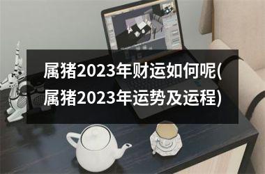 属猪2025年财运如何呢(属猪2025年运势及运程)