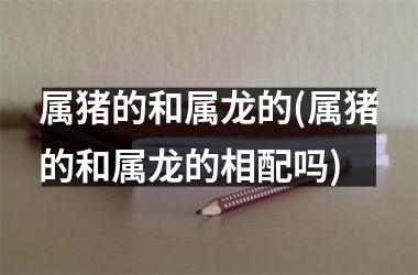 属猪的和属龙的(属猪的和属龙的相配吗)