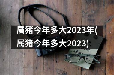 属猪今年多大2023年(属猪今年多大2023)