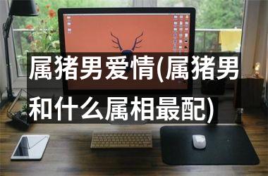 属猪男爱情(属猪男和什么属相最配)