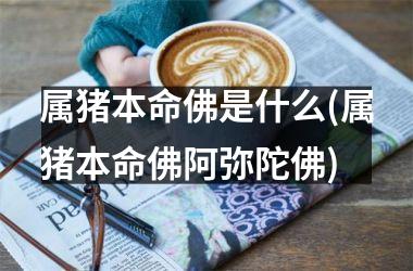 属猪本命佛是什么(属猪本命佛阿弥陀佛)