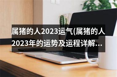 属猪的人2023运气(属猪的人2023年的运势及运程详解)