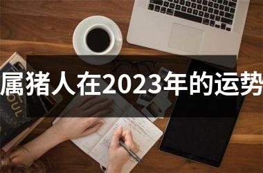 属猪人在2025年的运势