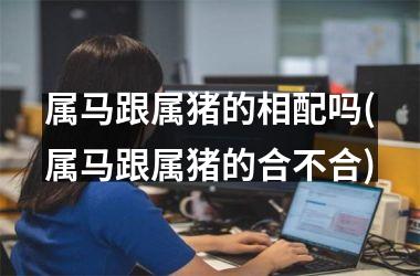 属马跟属猪的相配吗(属马跟属猪的合不合)