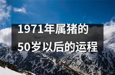 1971年属猪的50岁以后的运程