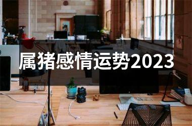 属猪感情运势2025