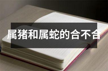 属猪和属蛇的合不合