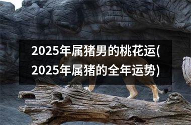 2025年属猪男的桃花运(2025年属猪的全年运势)