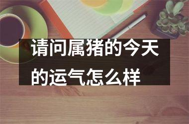 请问属猪的今天的运气怎么样