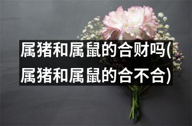 属猪和属鼠的合财吗(属猪和属鼠的合不合)