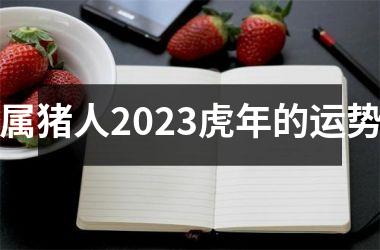 属猪人2025虎年的运势