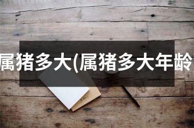 属猪多大(属猪多大年龄)