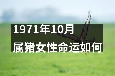 1971年10月属猪女性命运如何