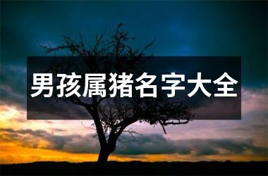 男孩属猪名字大全