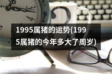 1995属猪的运势(1995属猪的今年多大了周岁)