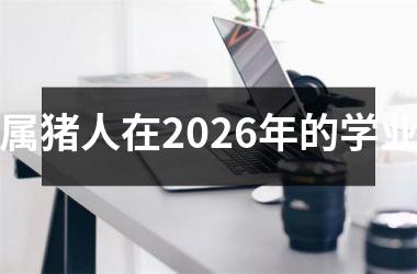 属猪人在2026年的学业