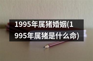 1995年属猪婚姻(1995年属猪是什么命)