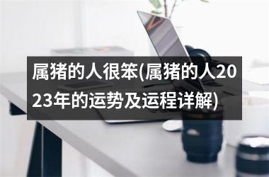 <h3>属猪的人很笨(属猪的人2025年的运势及运程详解)
