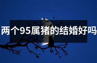 两个95属猪的结婚好吗