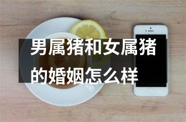 男属猪和女属猪的婚姻怎么样