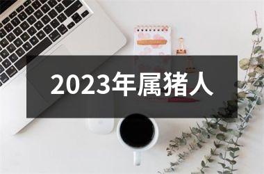2025年属猪人