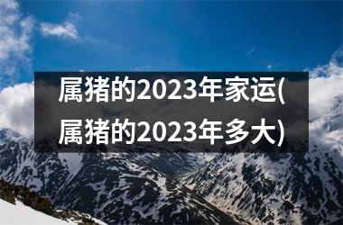 属猪的2025年家运(属猪的2025年多大)