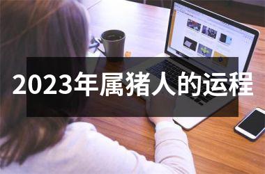 2025年属猪人的运程