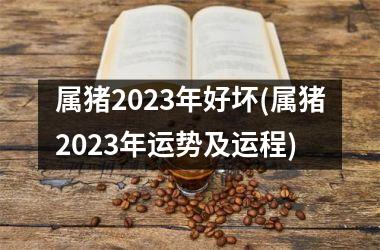 属猪2023年好坏(属猪2023年运势及运程)