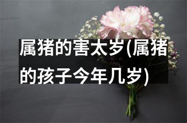 属猪的害太岁(属猪的孩子今年几岁)