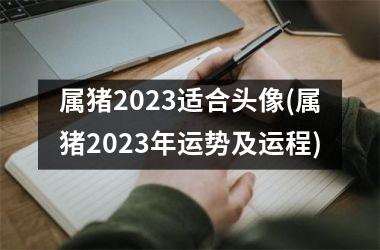 属猪2023适合头像(属猪2023年运势及运程)