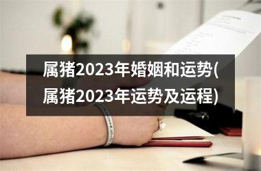 属猪2023年婚姻和运势(属猪2023年运势及运程)