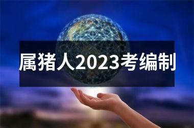 属猪人2025考编制